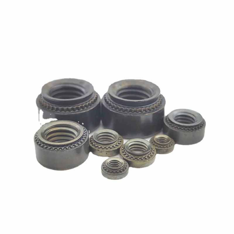 Un un miniature riveted καρύδι